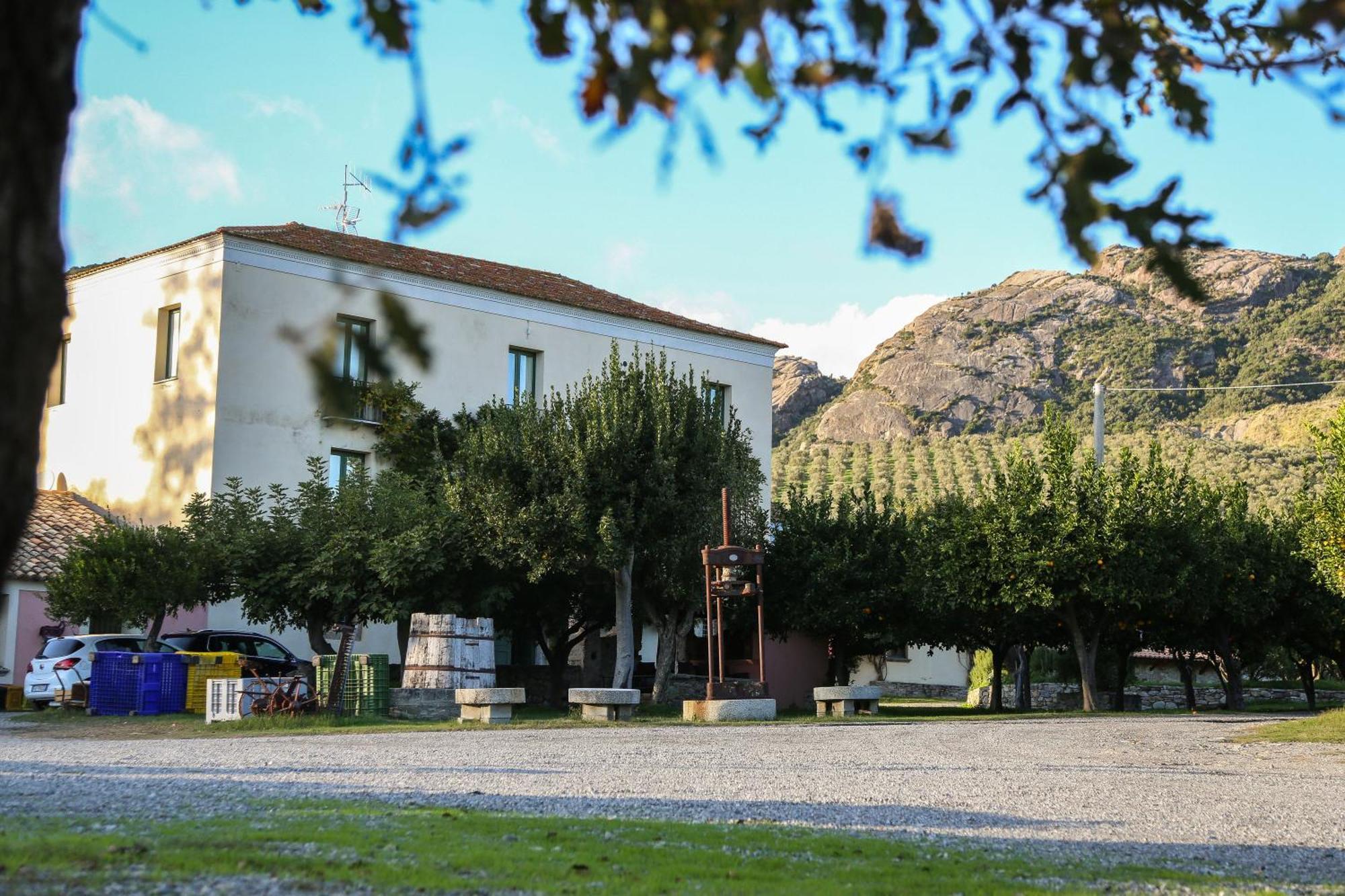 Barone Gr Macri Agriturismo Modi Gerace Exteriér fotografie