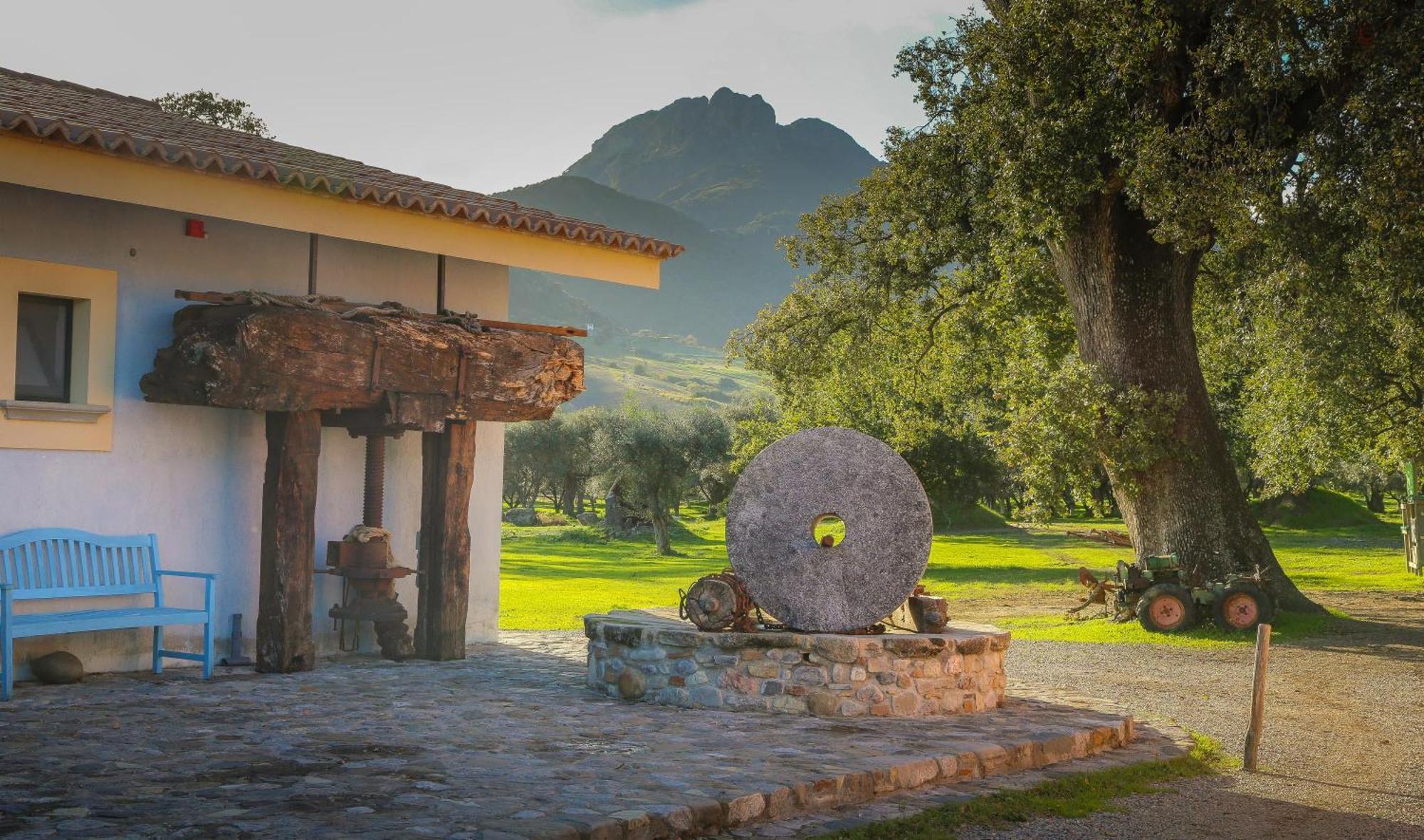 Barone Gr Macri Agriturismo Modi Gerace Exteriér fotografie