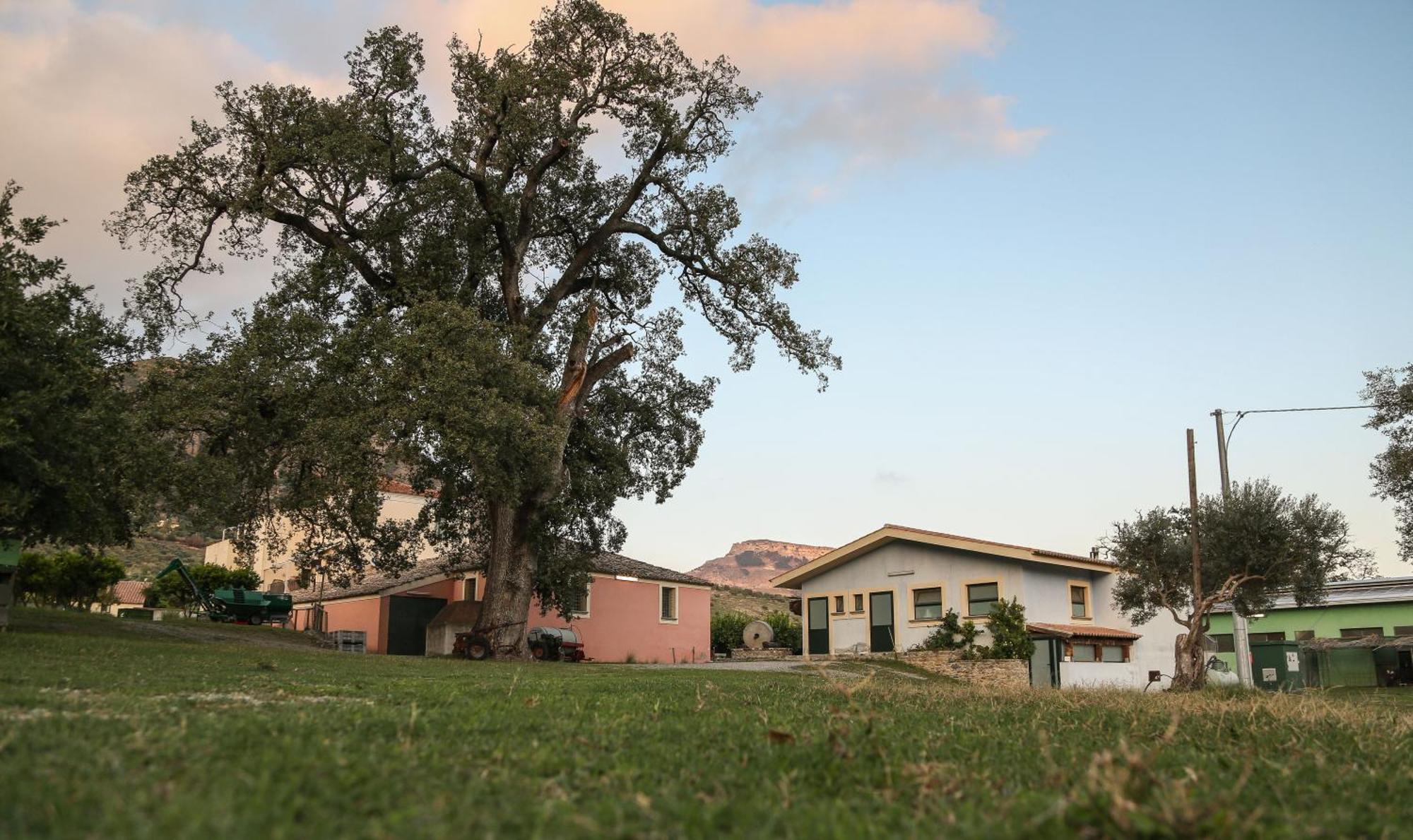 Barone Gr Macri Agriturismo Modi Gerace Exteriér fotografie
