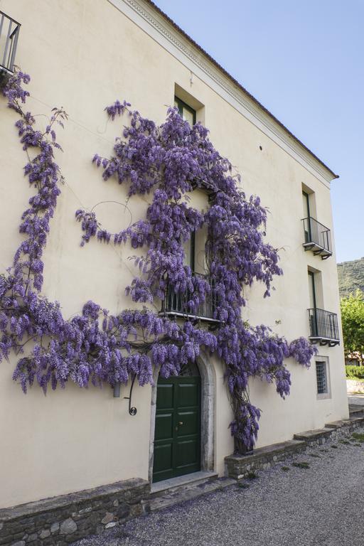 Barone Gr Macri Agriturismo Modi Gerace Exteriér fotografie